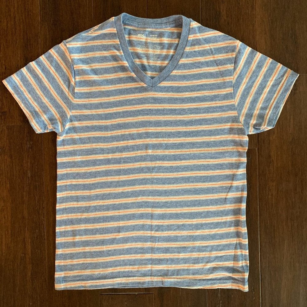 BDG Men's Vneck